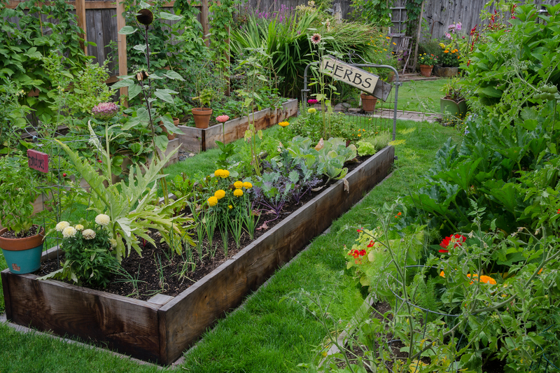 garden maintenance Garden